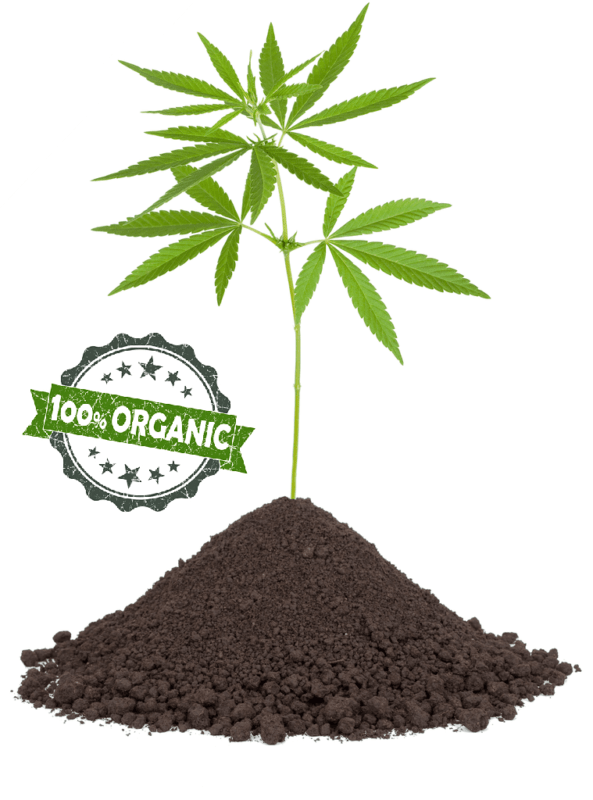 Økologisk hamp Natural Hemp Life