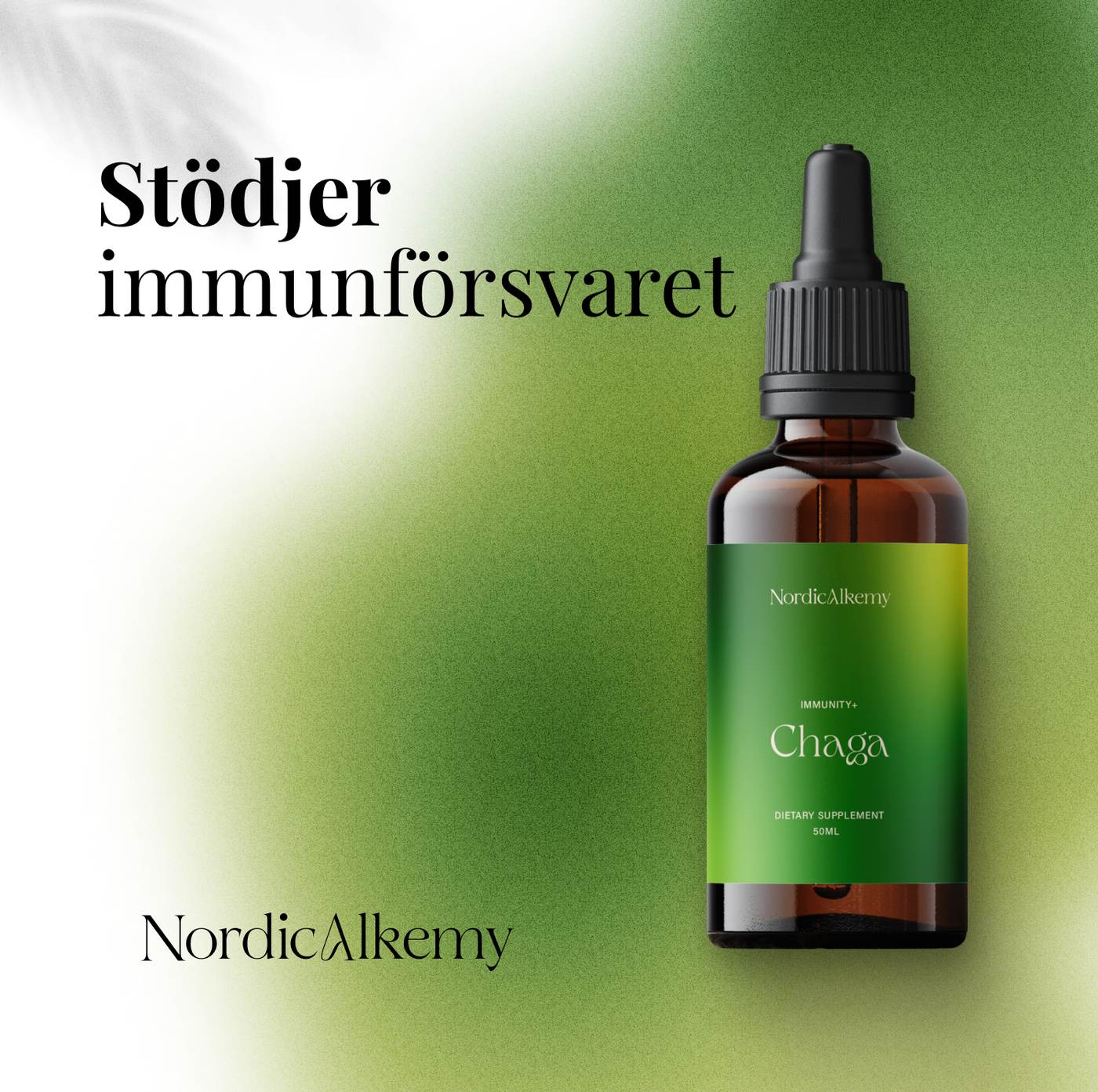 Chaga Tinktur Fördelar