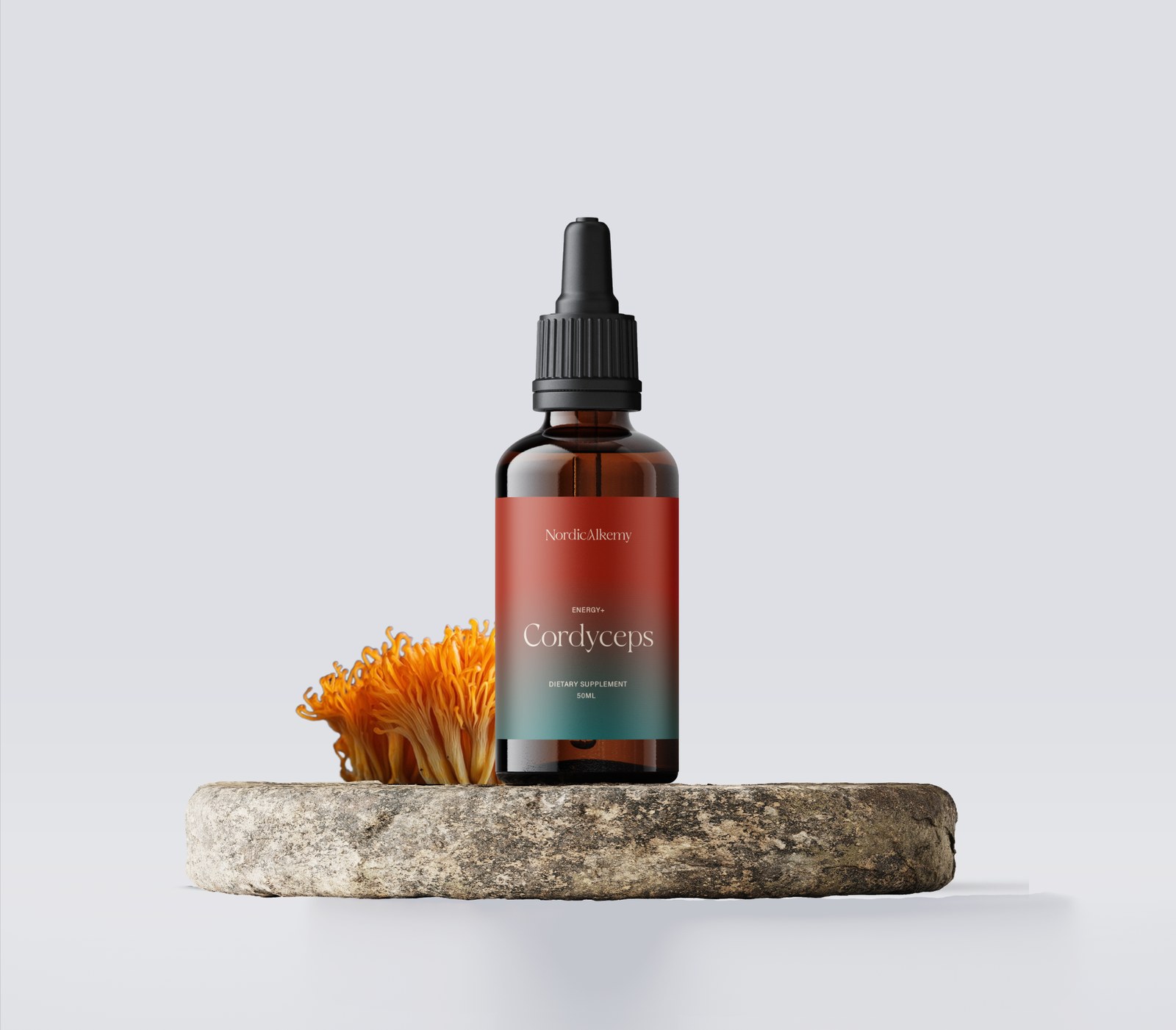 Cordyceps Tinktur och svamp
