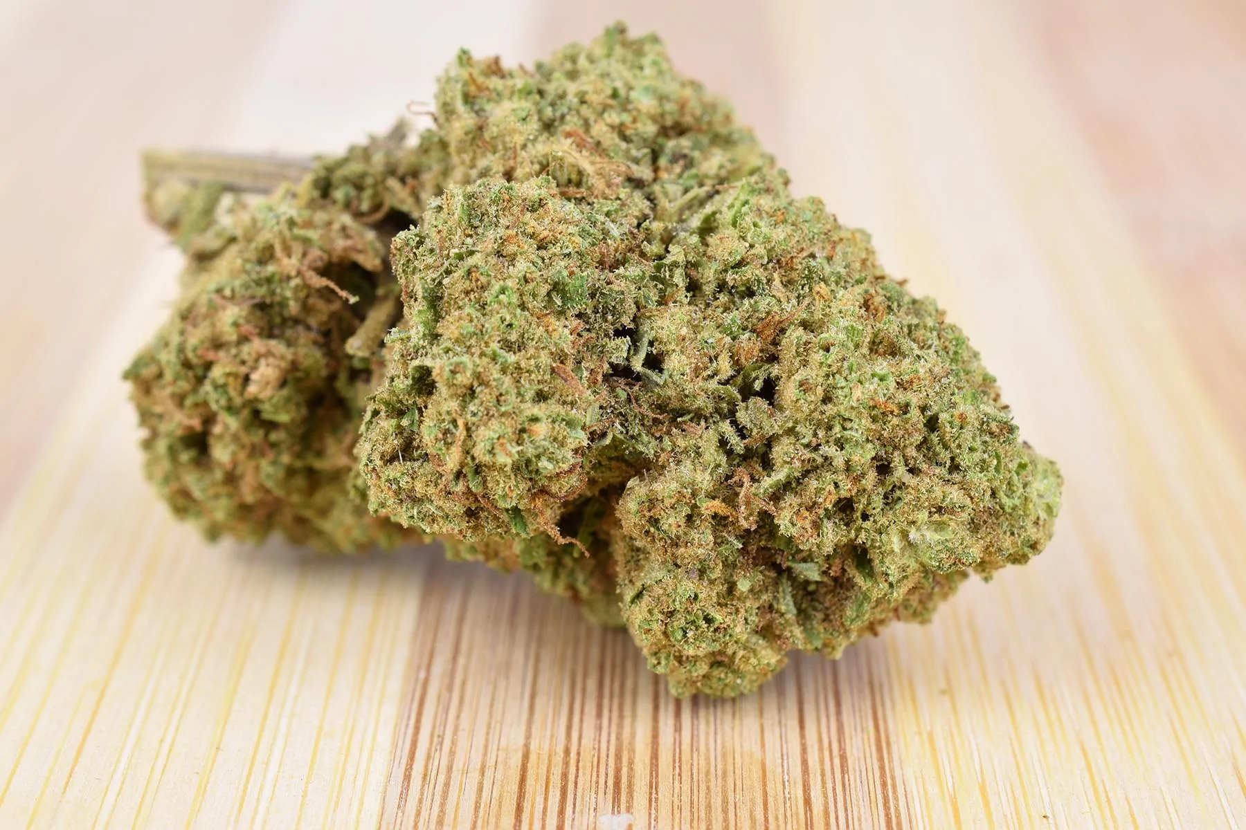 Vanilla Kush 2025